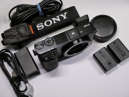Sony Alpha 6000 Body