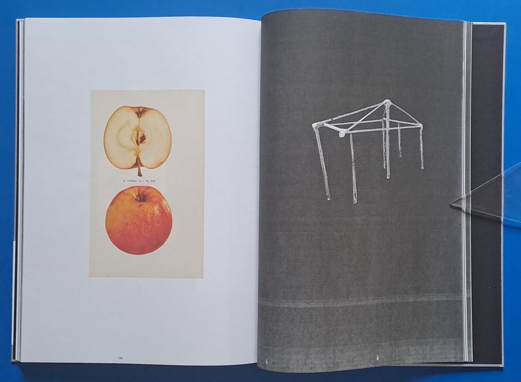 Livres: Tatjana Erpen: empty fire in my phone. EA 2019 d/e codax – D'occasion à Zürich par archiphil 7