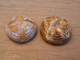 Puppenhaus Holzofen Brote Handmade