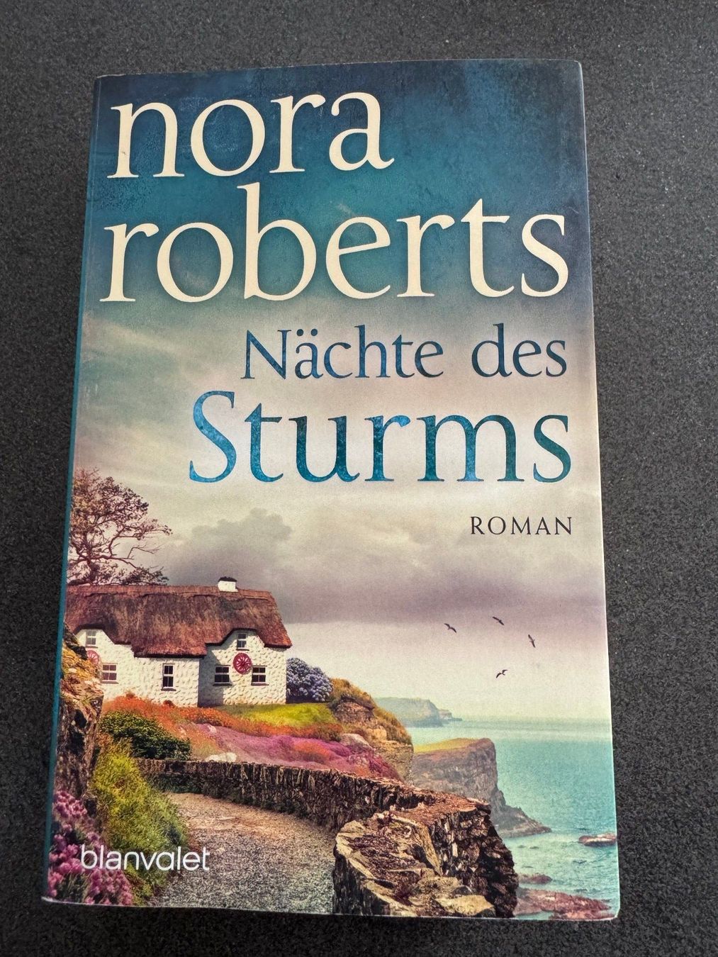 Libri: Nora Roberts "Nächte des Sturms" Roman – Usato da Fribourg venduto da tschjoly