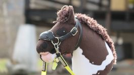 Hobby Horse Wonderday NACH GEBOT