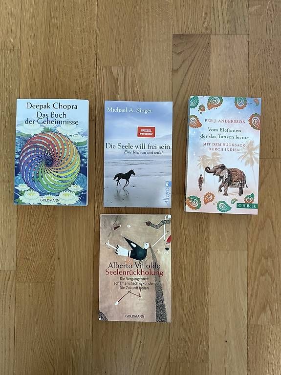 Libri: Sachbuch Bundle/ Esoterik/ Spiritualität – Usato da Hausen AG venduto da pokelori96
