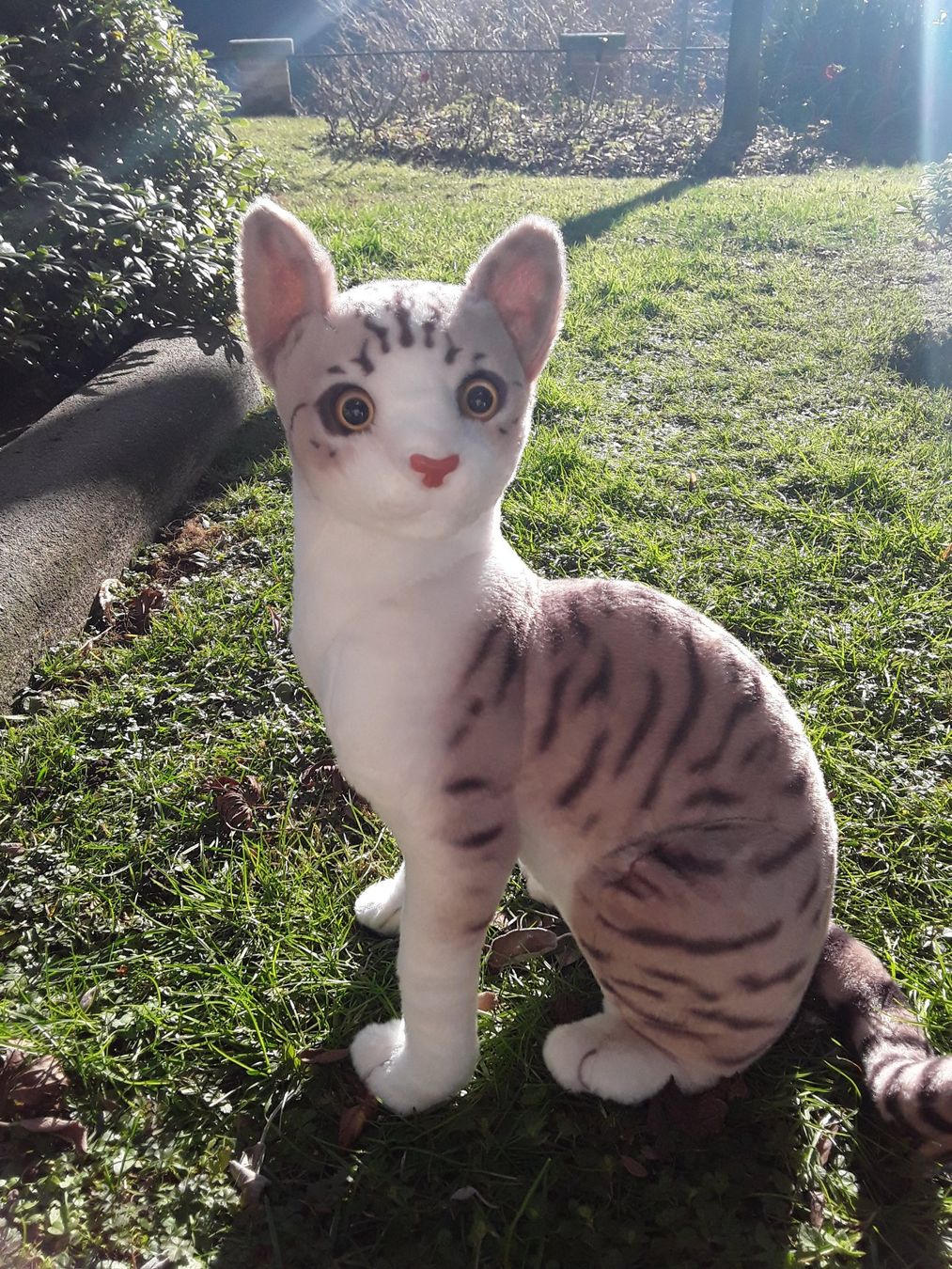 Giocattoli: Haus-Katze – Nuovo (secondo la descrizione) da Castagnola venduto da Cat-WomenX