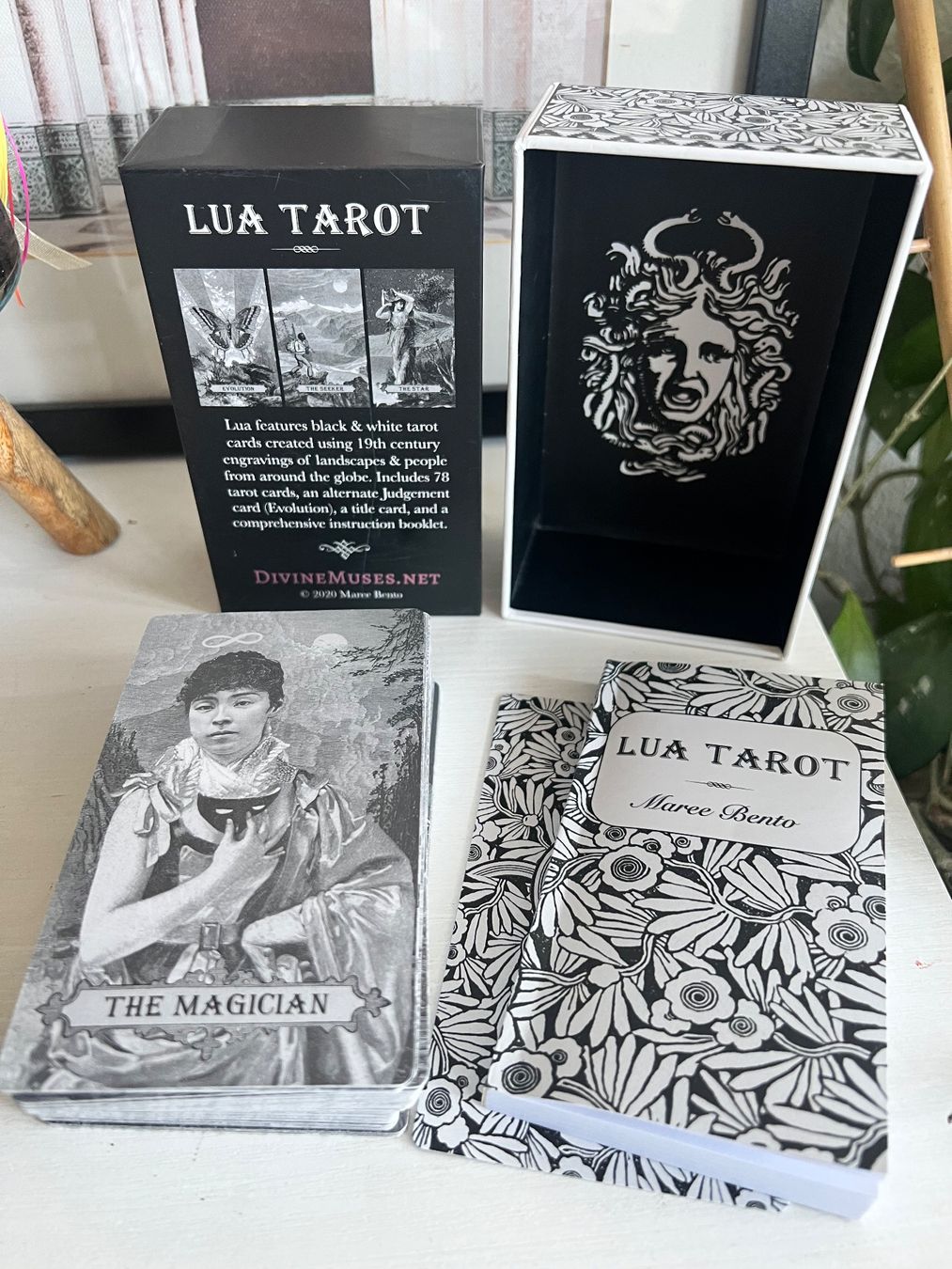 Jeux: The Lua Tarot Karten Deck - Maree Bento SAMMLERSTÜCK – Neuf (Voir description) à Effretikon par YaMn 1