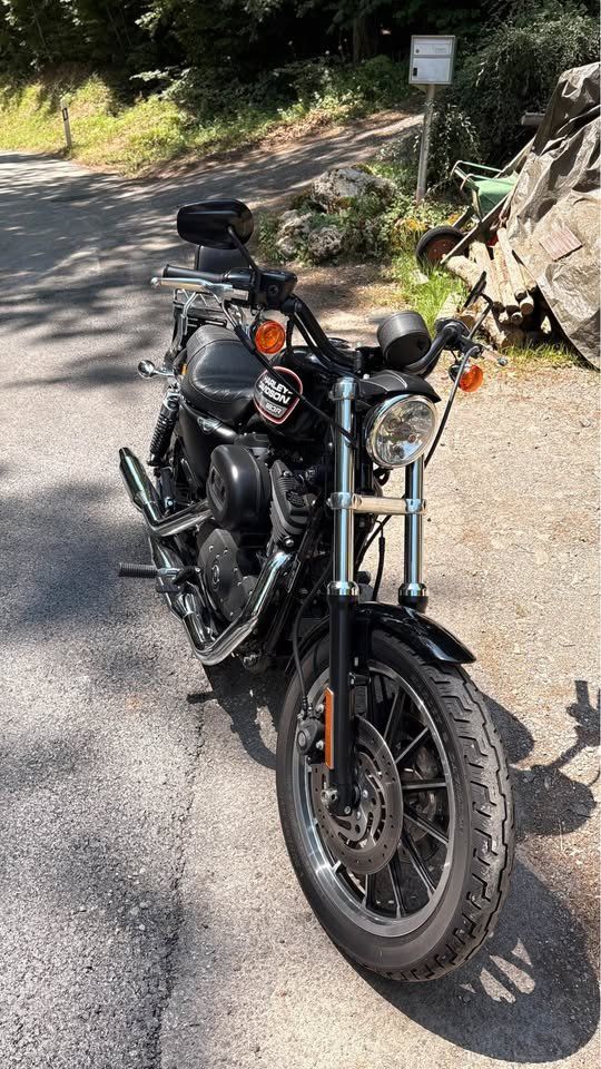 Harley-Davidson Cruisers: Harley Davidson 883R – D'occasion à Corsier-sur-Vevey par BussardS 4