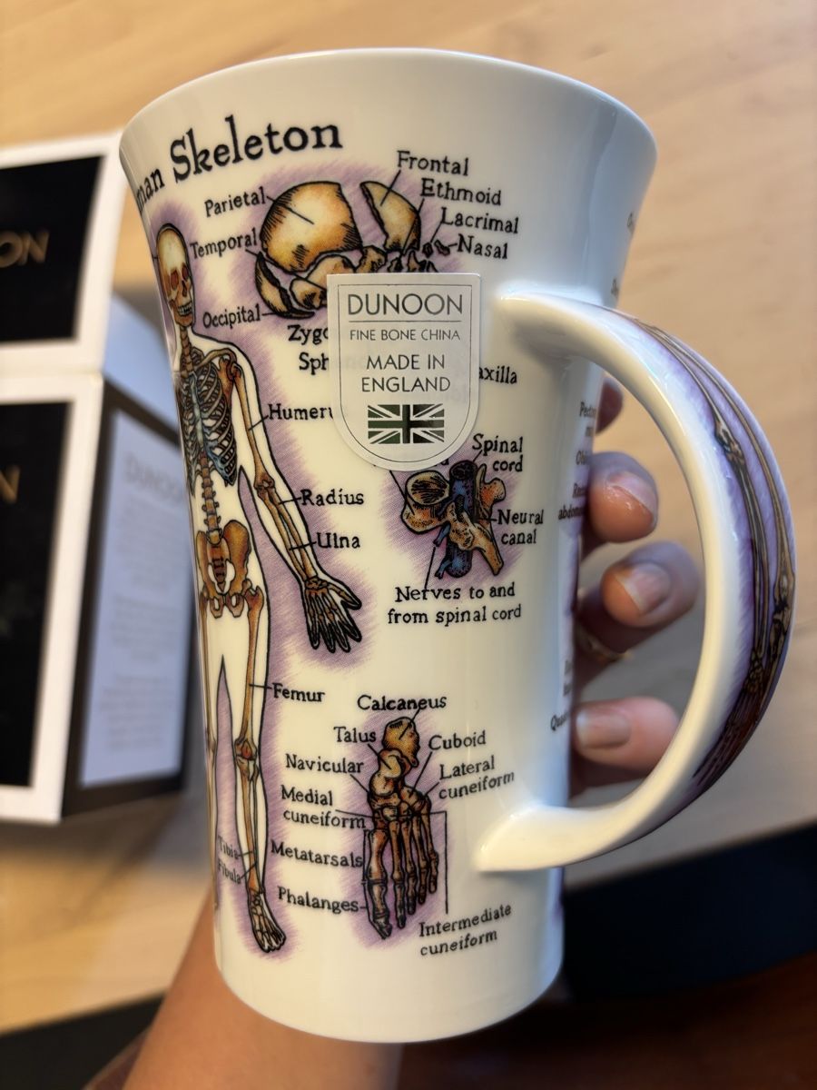 Tazze: Neue Dunoon Anatomie Tasse "Human Skeleton" – Nuovo e nell'imballaggio originale da Zürich venduto da Smesskammer 2