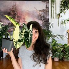 Profile image of LadyLeaf_Ellis1