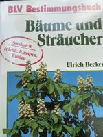 BLV Bestimmungsbuch Bäume und Sträucher Ulrich Hecker
