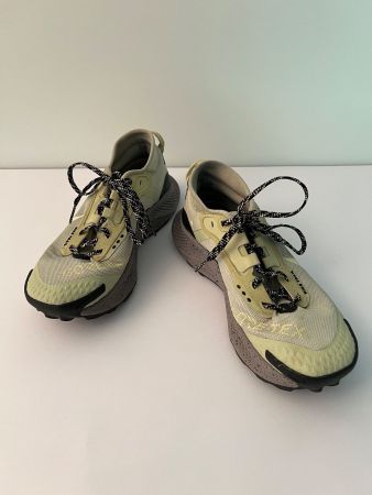 Nike Pegasus Trail GTX  Running Shoe