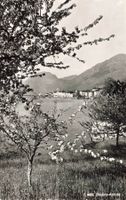 Brusino Arsizio
