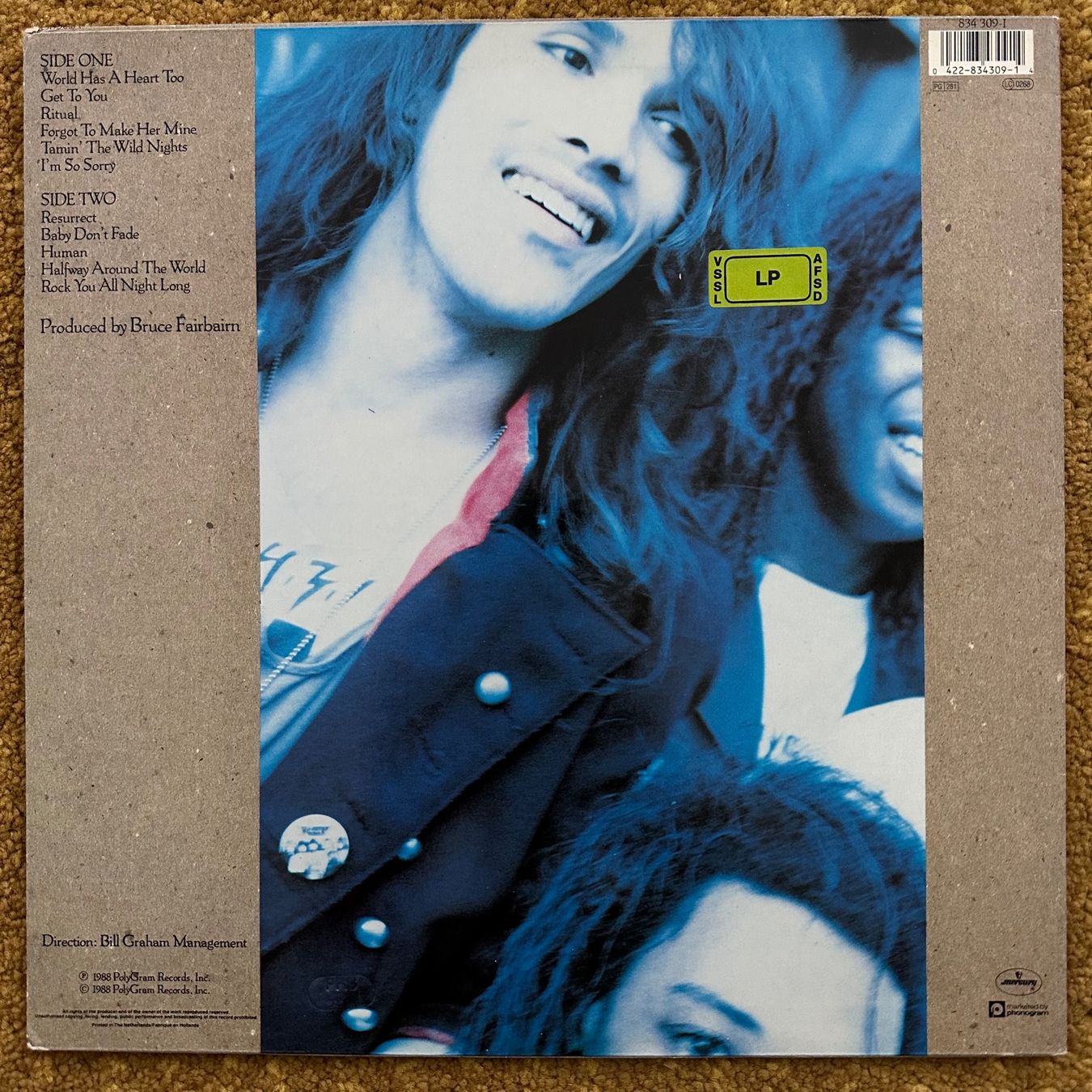 Dischi in vinile: LP - Dan Reed Network – Dan Reed Network – Usato da Breganzona venduto da Onairda75 1