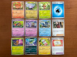 Pokemon 12er Karten Set (Versand gratis)