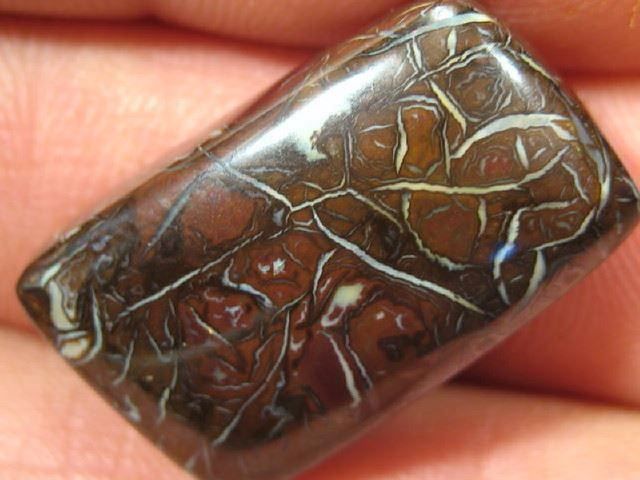 Edelsteine: Australischer Boulder Opal 26.70Cts. – Gebraucht aus Bern von Grindelwaldaus
