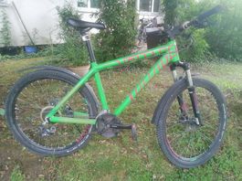 Moutainbike Grün mit Pinker Schrift