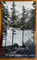 Oeschinensee - Carte ancienne