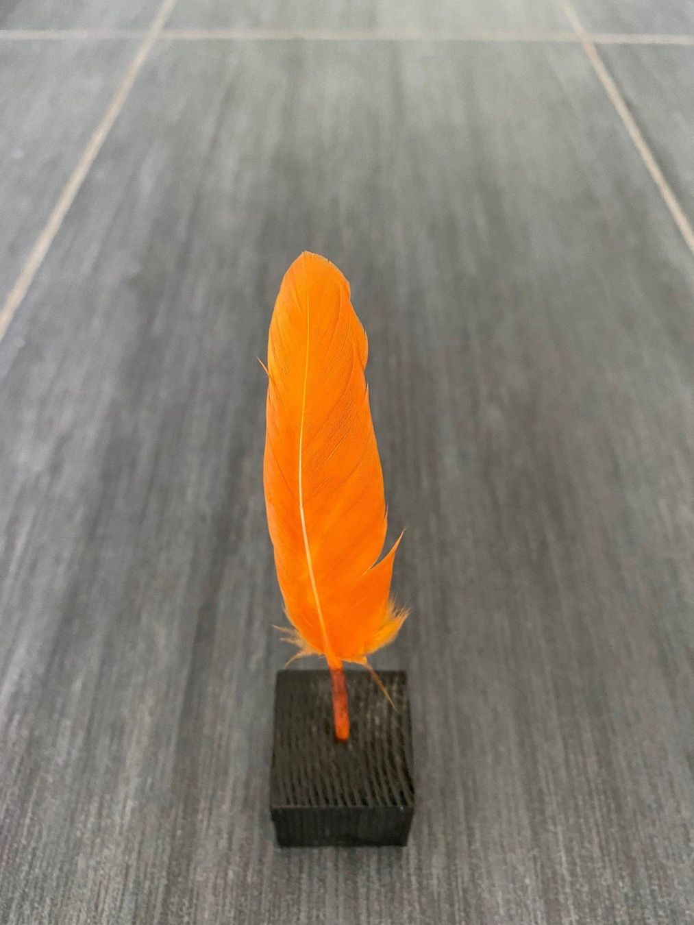 Toutes les décorations: Dekoobjekt "Feder" – Neuf (Voir description) à Lachen SZ par JLO-Creations