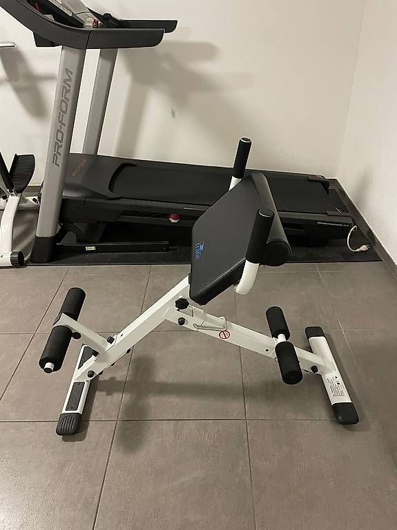 Hometrainer: Attrezzo per dorsali – Usato da Quartino venduto da can_mf72 1