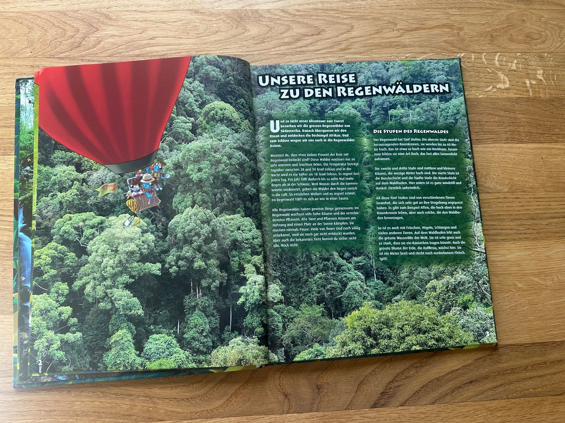 Libri: Regenwald Buch – Usato da Falera venduto da duca73 1