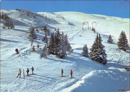 Pizol SG // 1972 Skilift Pardiel - Laufböden