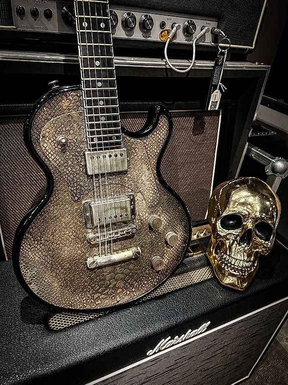 Strumenti musicali: James Trussart steel top – Usato da Montreux venduto da Alligator-AMPS 6
