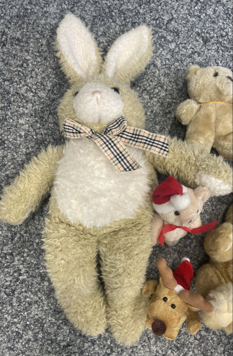 Giocattoli: Plüschtiere, Bär, Hase, Raupe & Reh - – Usato da Au ZH venduto da Jaggy4 2