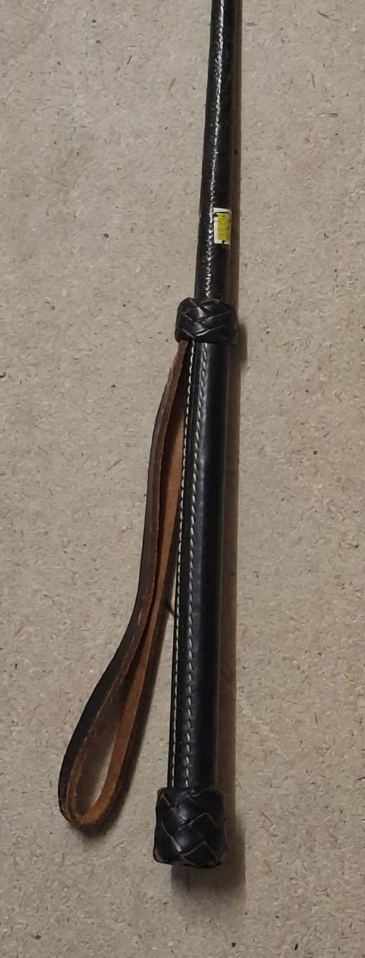 Altro in Accessori per animali: Schwarze Reitgerte mit Lederschlaufe. Peitsche  – Usato da Glattbrugg venduto da cub_w7l8 1