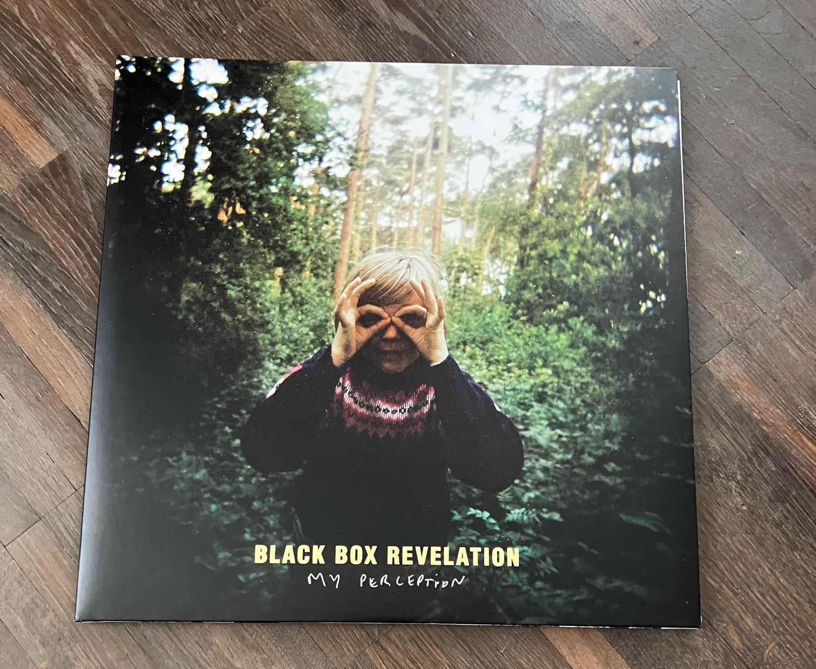 Dischi in vinile: THE BLACK BOX REVELATION - MY PERCEPTION – Usato da steffisburg venduto da Dstauffer