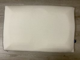 Happy Down Kissen 40x60 