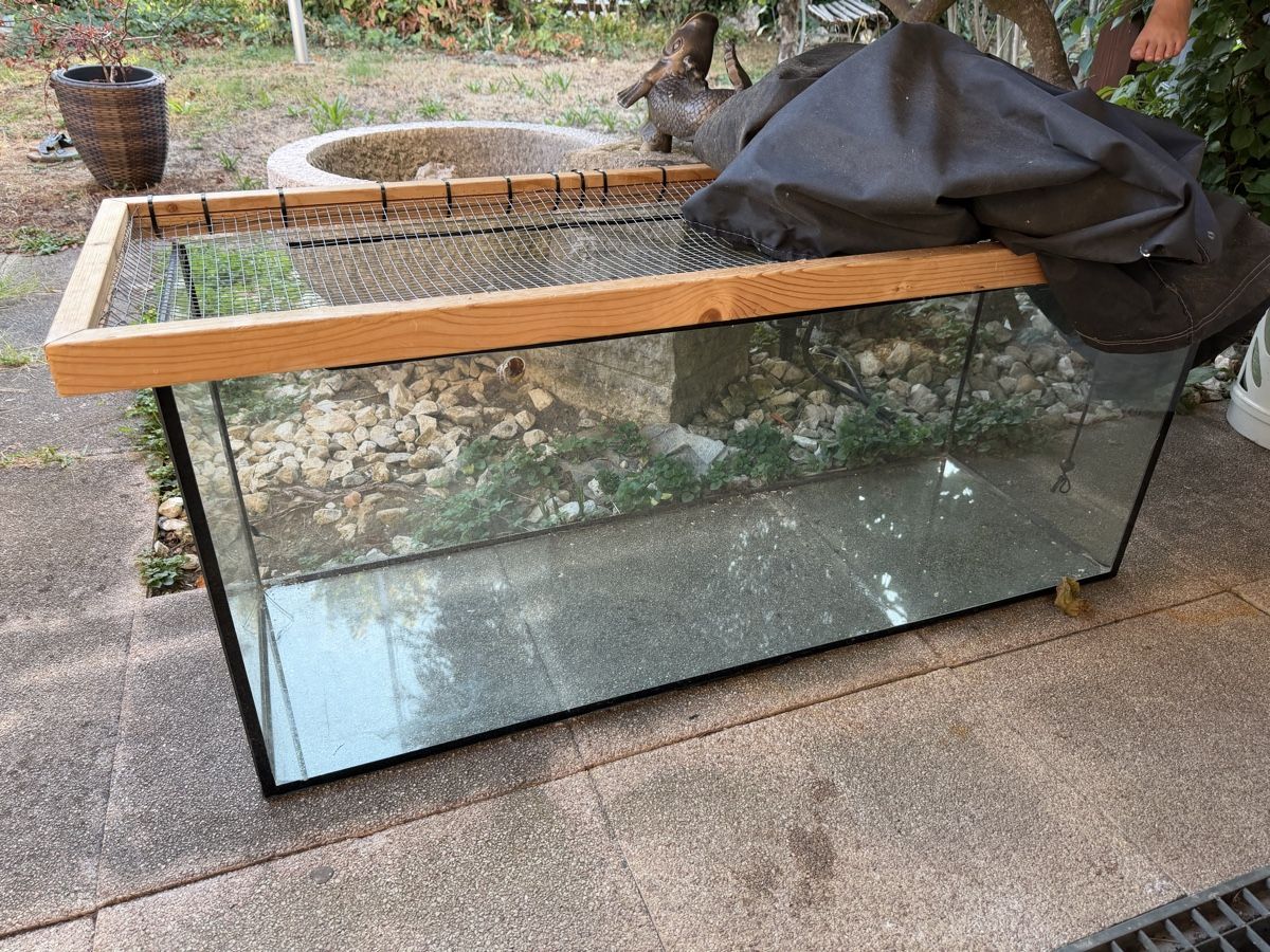 Terrarium: Terrarium – Gebraucht aus Hofstetten SO von Elbi 1