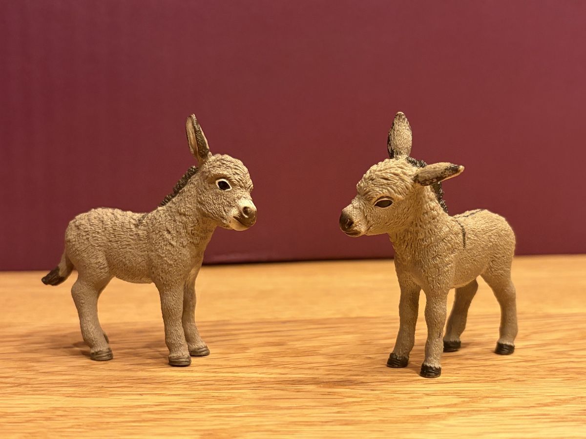 Schleich Spielzeuge: 5 Schleich - Esel – Gebraucht aus Blumenstein von rumba9 4