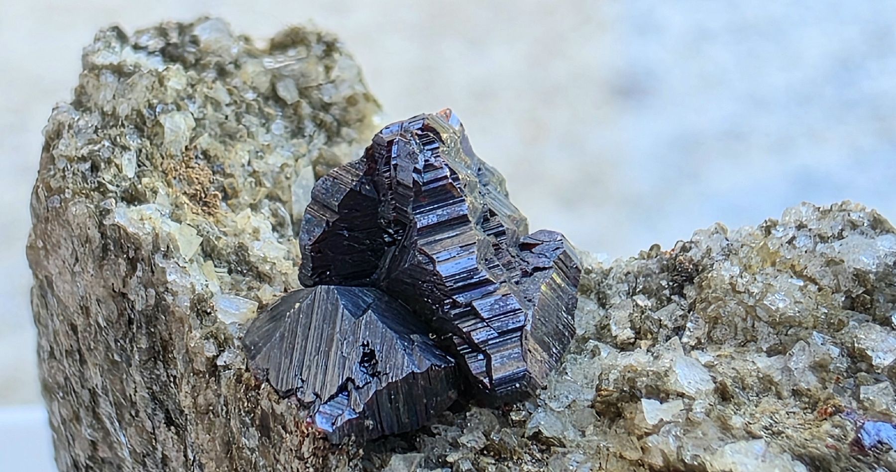 Minerali & Pietre curative: Binnta Mineralien Knopfrutil gross Rarität Hochglanz 1cm – Usato da Glis venduto da nbu_65ys