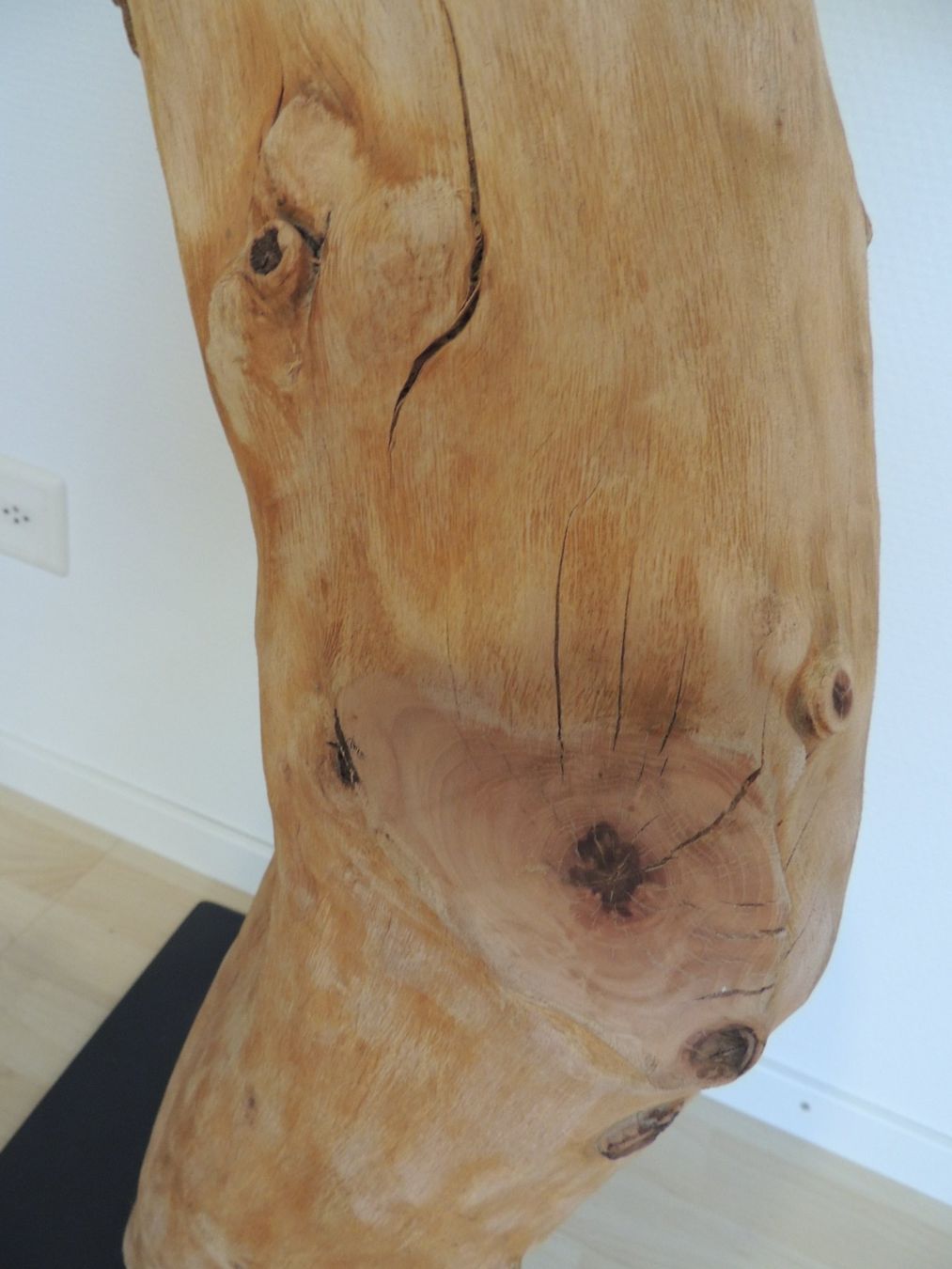 Articoli in legno: Baumstamm / Deko-Säule – Usato da Rickenbach b. Wil venduto da heinz5 7