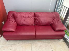 Ledersofa rot