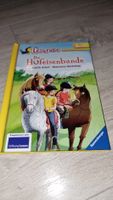 neuwertig Die Hufeisenbande - spannendes Pferde-Abenteuer!