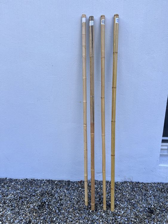 Bambus Stangen (4stk) Kaufen auf Ricardo