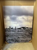 Wandbild Zebra Motiv schwarz weiss guter Zustand