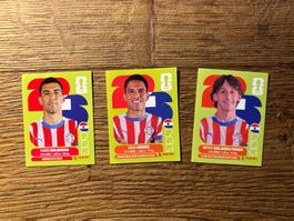 Panini W26 Paraguay (5 ,10, 14)
