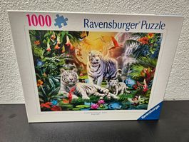 Neu - Ravensburger - Puzzle 1000 white Tigers