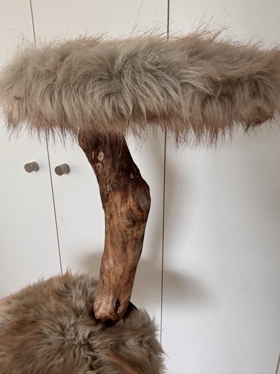 Kratzbaum, Baumstamm, echtholz, handmade (Gebraucht) in Kriens fr CHF 79   nur Abholung auf Ricardo kaufen