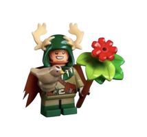 71047 Dungeons & Dragons Halfling Druid LEGO (NEU)