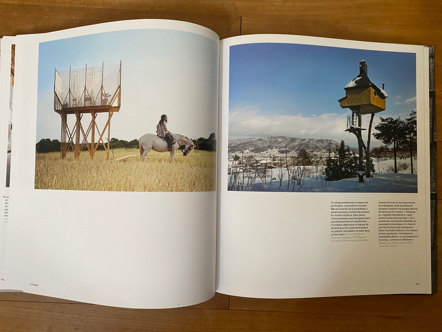Libri: Buch "BOIS" Phaidon William Hall – Usato da Zürich venduto da fritzfranzantoni 6