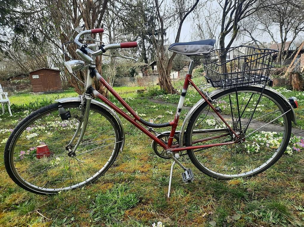 Biciclette: Damenvelo – Usato da Solothurn venduto da j273 2