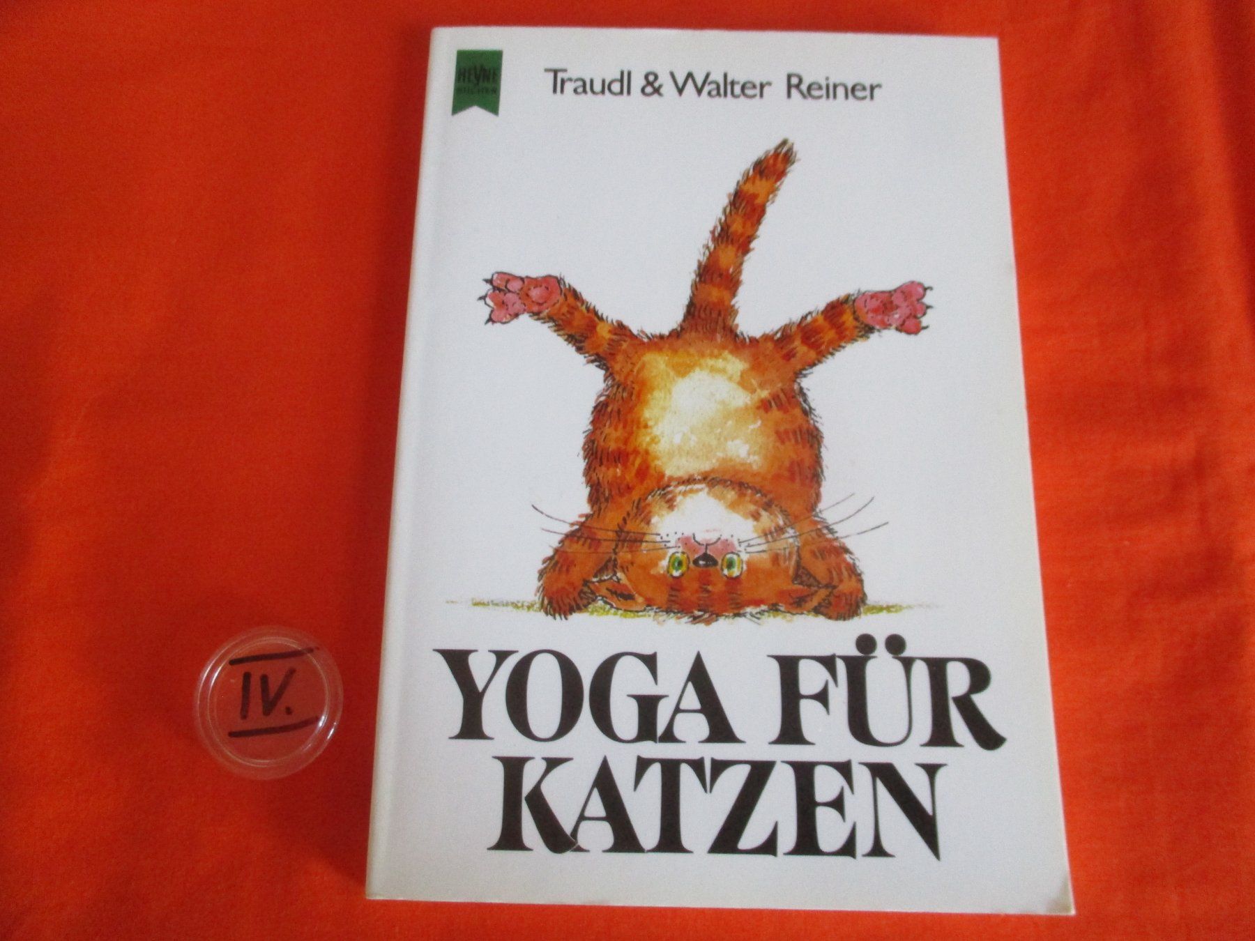 Libri: Buch Katzen Yoga – Usato da Birsfelden venduto da alles-muss-raus