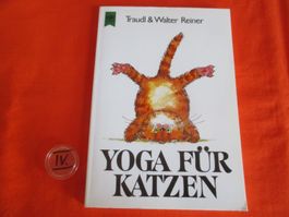 Buch Katzen Yoga