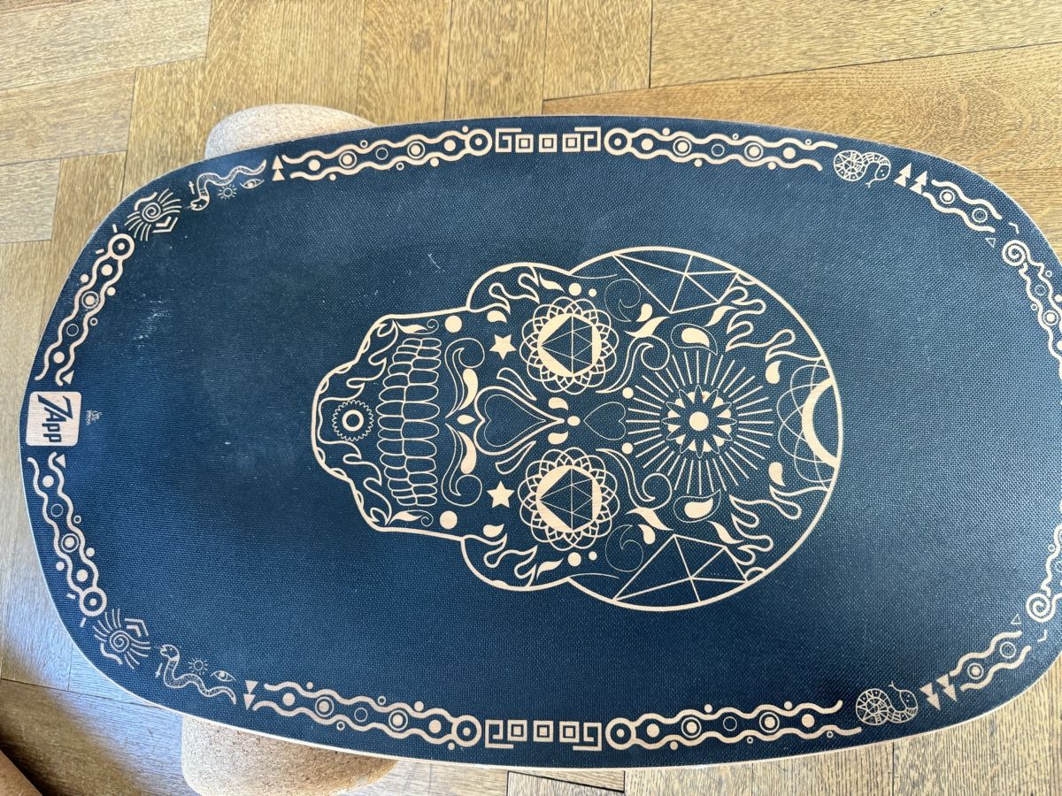 Hometrainer: Balance Board Pro – "The Starter" Kit (Both Rollers) – Usato da Bellinzona venduto da Samirablank 1