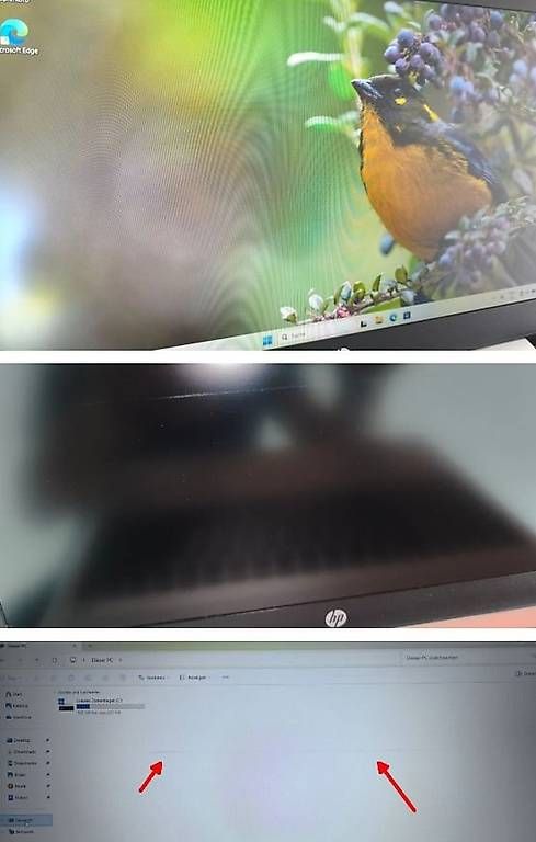 Hewlett Packard Notebook: HP ProBook 455 G7 – Usato da Hinwil venduto da Islaw 2