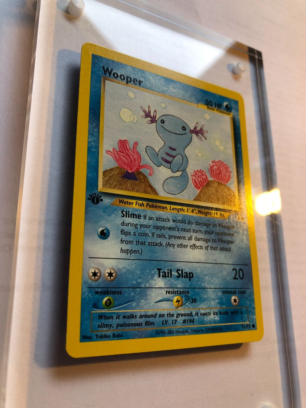 Carte collezionabili: Wooper 1st Neo Discovery - MINT - ab 1.- – Usato da Giubiasco venduto da dan_pr8b 1