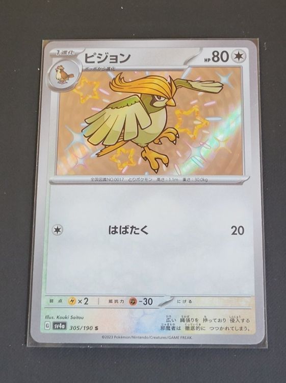 thumbnail image 2 of Shiny Pidgeotto S 305/190 SV4a Shiny Treasure Ex - Pokemon Card Japanese, Holo, Near Mint, Colorless Type 2 of 4