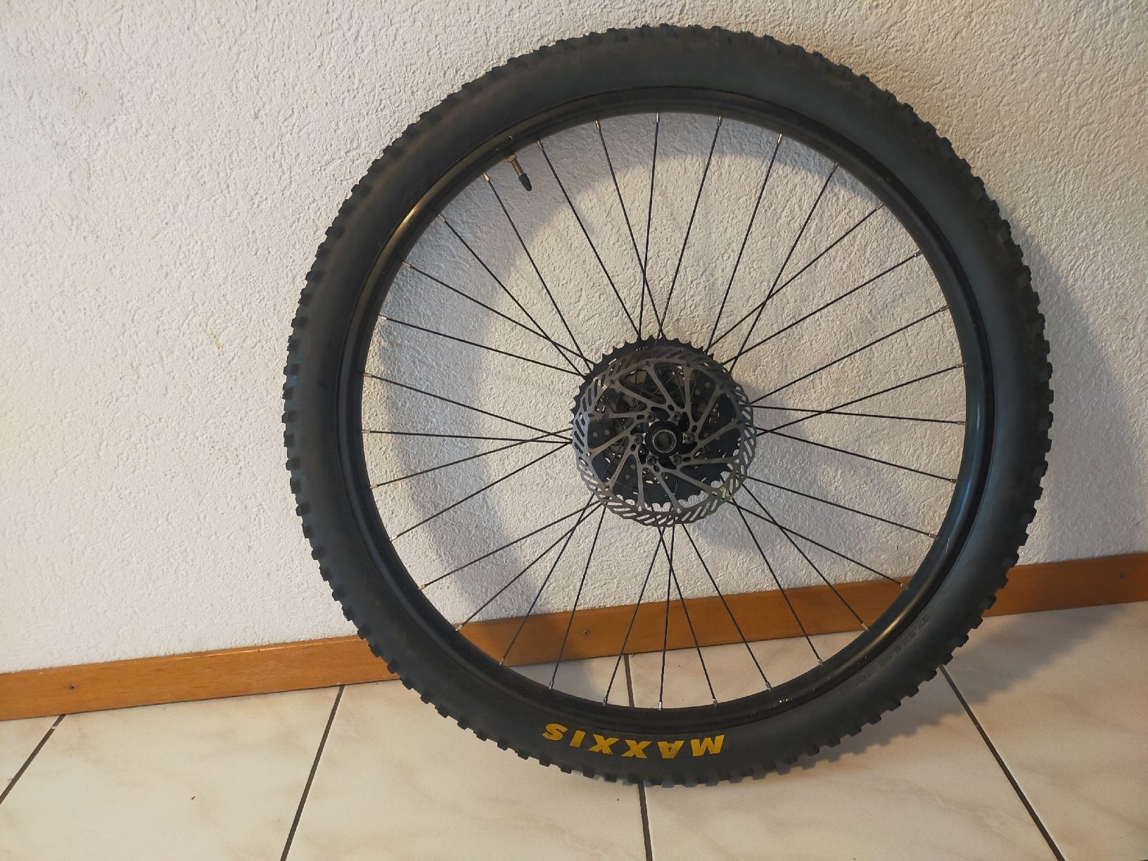 Pneumatici & Ruote complete: Hinterrad Downhill. EB152mm – Usato da Richenthal venduto da DonTom69 1