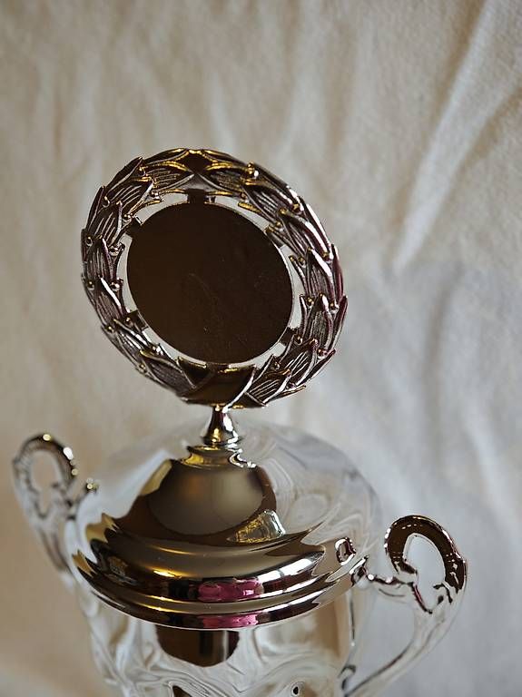 Altre raccolte & rarità: Pokal – Usato da Chur venduto da cap_cj27 1